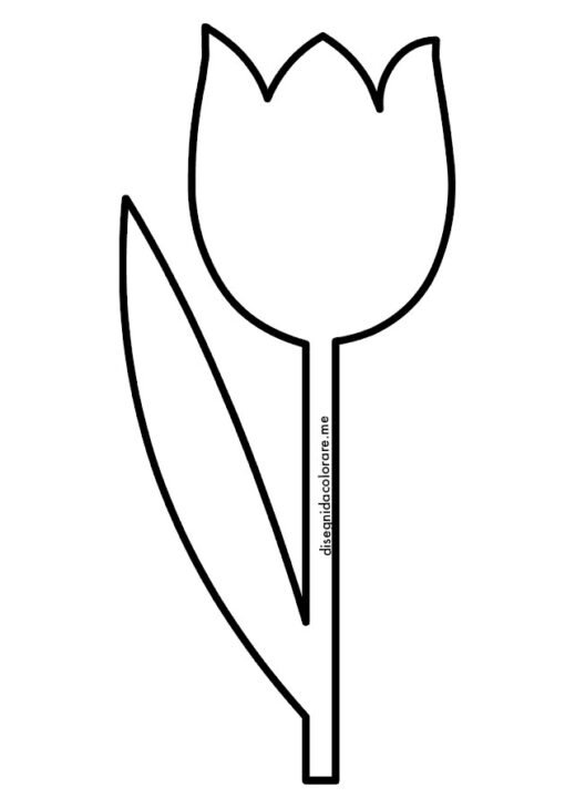 Sagoma tulipano 1 tulipano sagoma