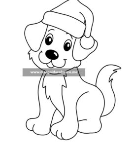 cane natale