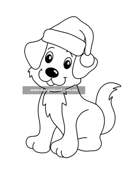 Cane con cappello di Natale 1 cane natale