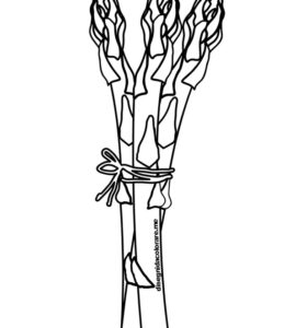 asparagi