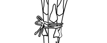 asparagi