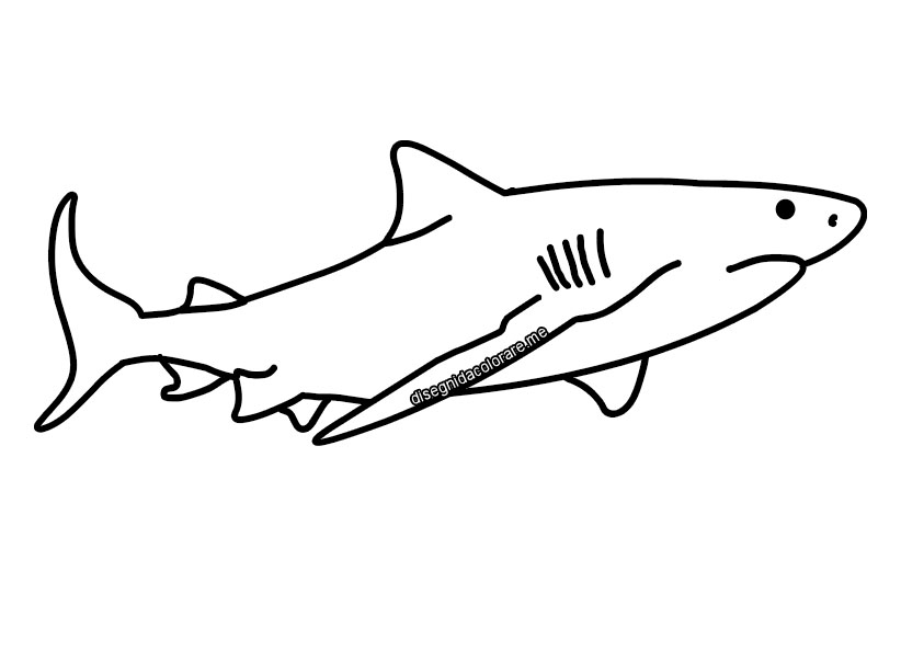 Disegno Squalo da colorare 1 Questa immagine ha l'attributo alt vuoto; il nome del file è squalo-1.jpg