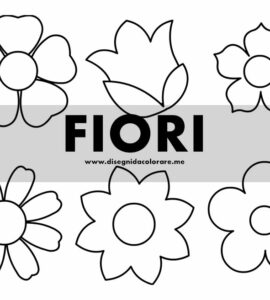 fiori
