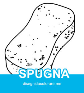 spugna