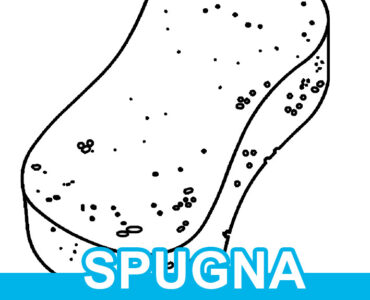 spugna