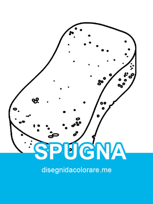 Spugna da bagno 1 spugna