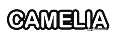 camelia