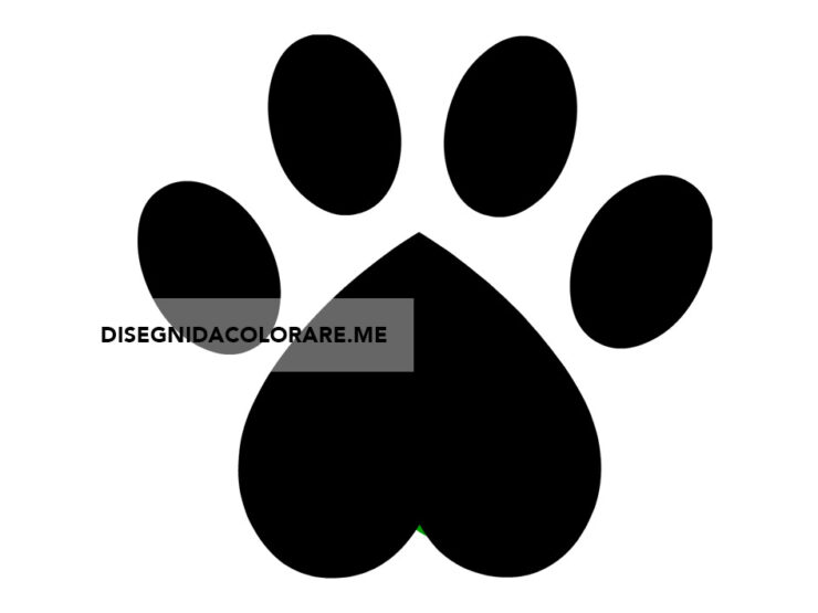 Zampa gatto Disegni da colorare