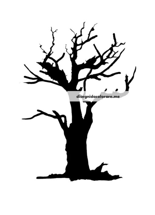 Albero Spoglio Silhouette 1 albero spoglio silhouette