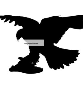 aquila silhouette