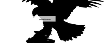 aquila silhouette