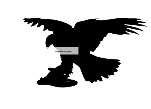 Aquila silhouette 1 aquila silhouette