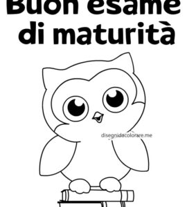 buon esame di maturita 1