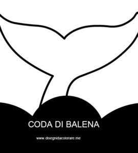 coda balena