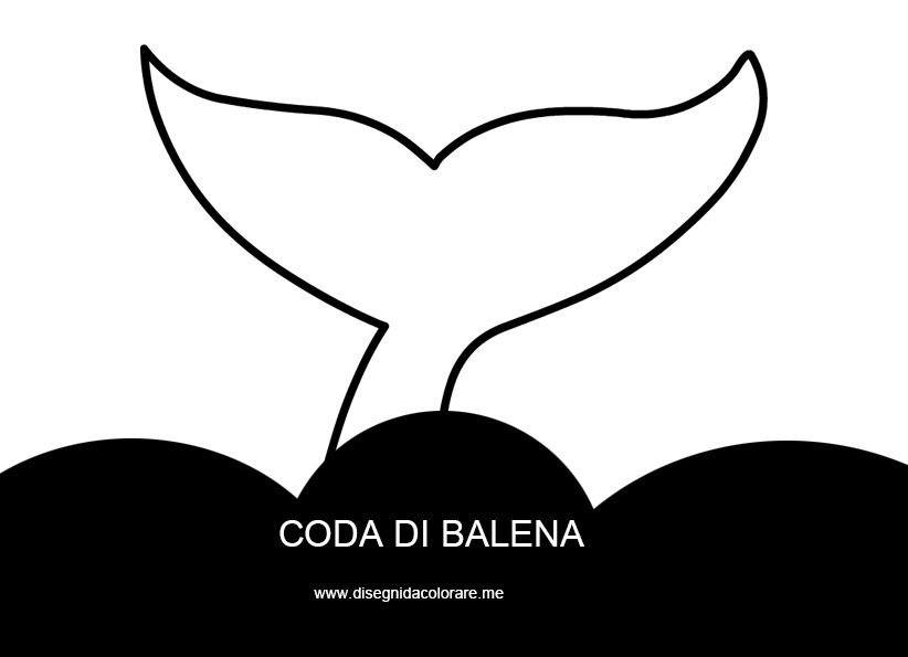 Coda di balena 1 coda balena