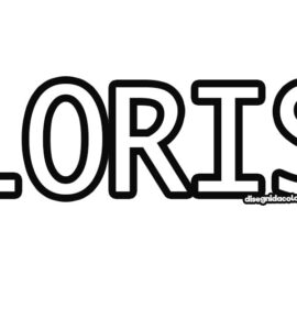 loris