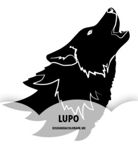 lupo