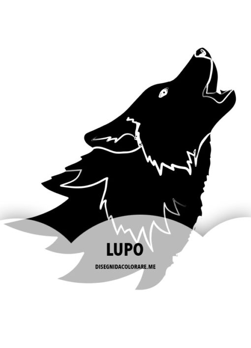 Lupo che ulula 1 lupo
