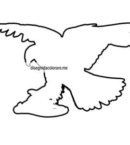sagoma aquila