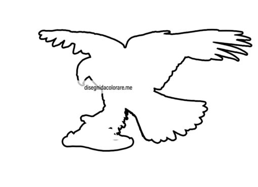 Sagoma aquila 1 sagoma aquila