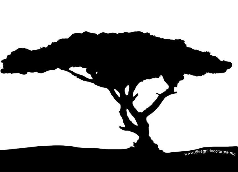 Albero della savana 1 albero savana