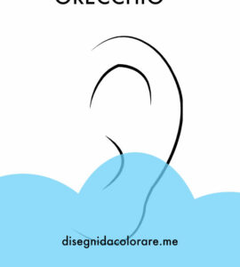 orecchio