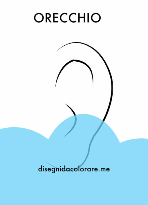 Orecchio 1 orecchio