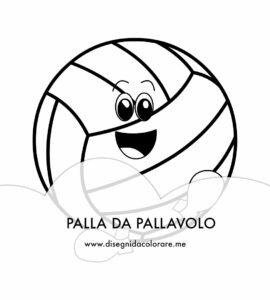 palla da pallavolo