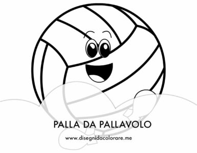 palla da pallavolo