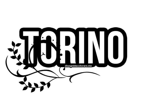 Torino 1 torino