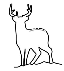 sagoma cervo