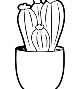 cactus vase