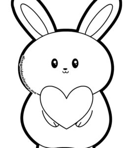 coniglio cuore