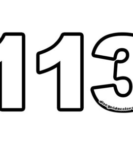 113 numero