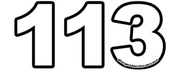113 numero