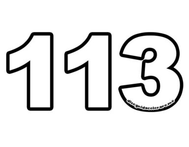 113 numero