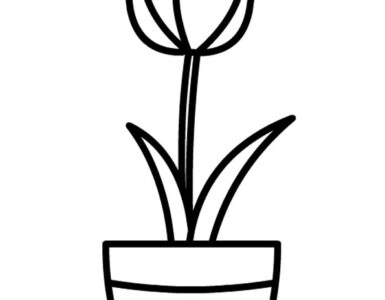 vaso tulipano