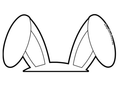orecchie coniglio