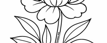 peonia