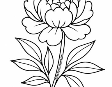 peonia