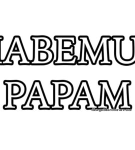 habemus papam scritta