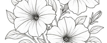 petunia