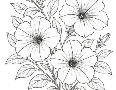 petunia