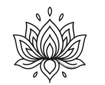 fiore di loto