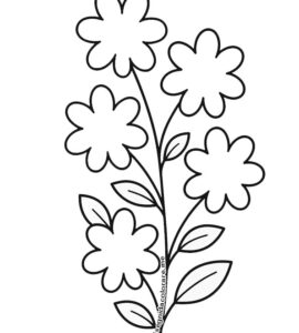 gelsomino