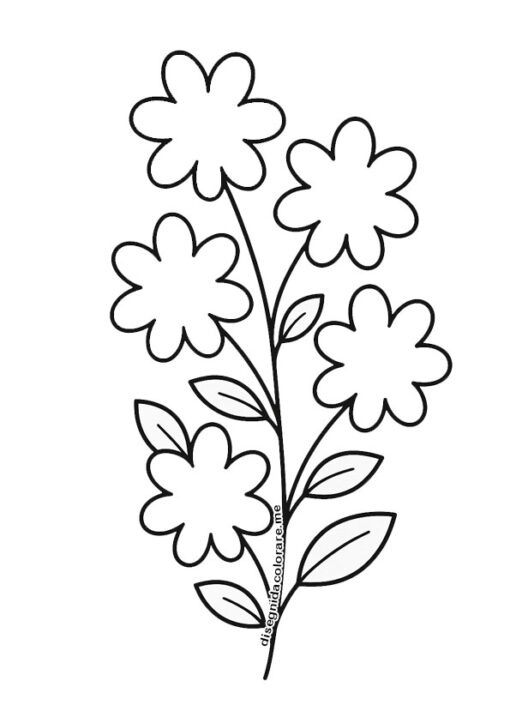 gelsomino