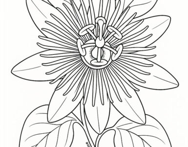 passiflora