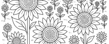 campo girasoli