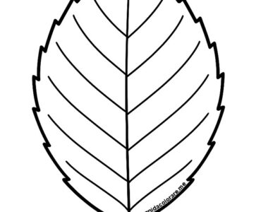 foglia faggio