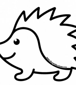 riccio disegno